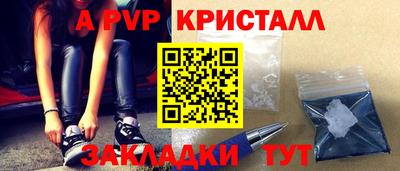 мет Кингисепп