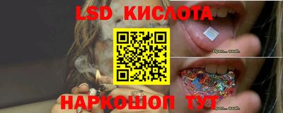 мет Кингисепп