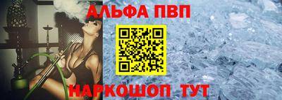мет Кингисепп
