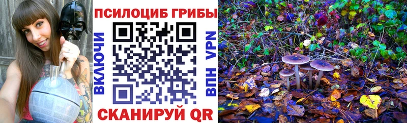 это наркотические препараты  Кубинка  Псилоцибиновые грибы Cubensis 