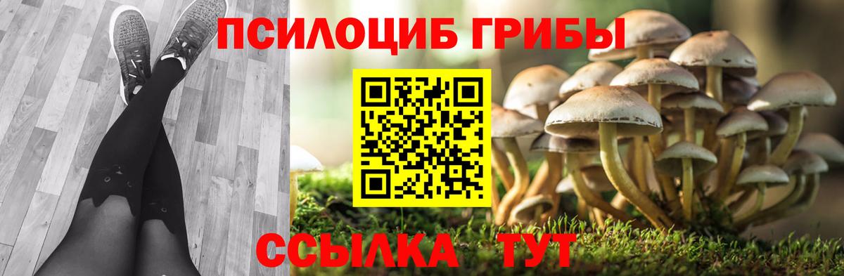 Псилоцибиновые грибы GOLDEN TEACHER Кубинка